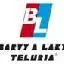 Logo_1